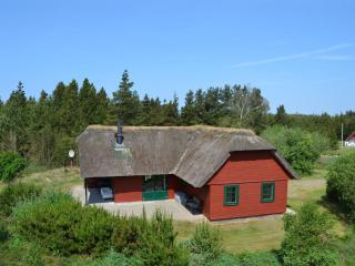 Holiday Home Eilika - 3-6km from the sea by Interhome - Kongsmark - 0