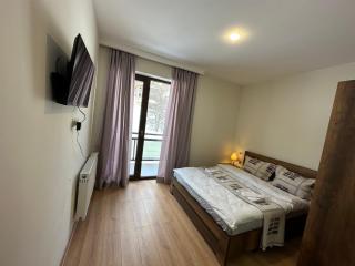 Villa Bayern in Bakuriani - Bakuriani - 9