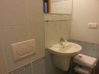Antik Hotel Sofia - Litomyšl - 5
