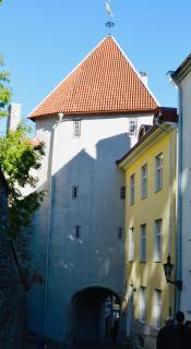 Tallinn Housing Old Town Homes - 1 BDR Apartment in Pikk Jalg - Tallinn - 5
