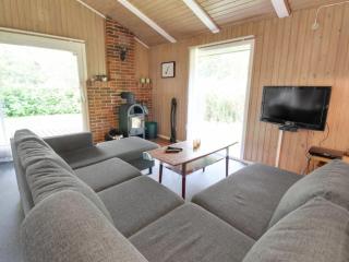 Holiday Home Fredger - 1-8km from the sea by Interhome - Ringkøbing - 4
