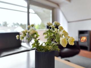 Holiday Home Tuomi - 900m from the sea by Interhome - Ringkøbing - 4
