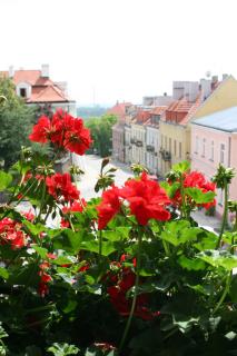 Hotel Basztowy - Sandomierz - 4