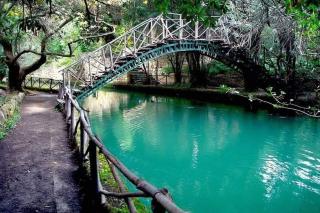 Melograno di Rodi 4 - 1