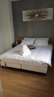 Suite Deluxe, voyages d'affaires. - 4