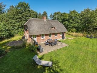 Holiday Home Alkil - 1-7km from the sea by Interhome - Ulfborg - 0