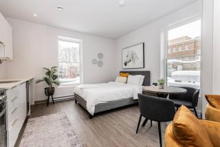 Amazing New Apartment Close to Mount Royal Le Plateau by Denstays - 6