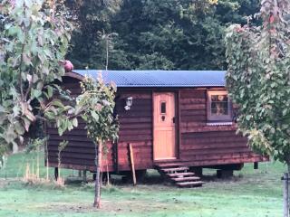 Goodwin Farm - Northiam - 0