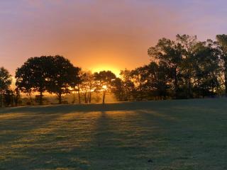 Goodwin Farm - Northiam - 2