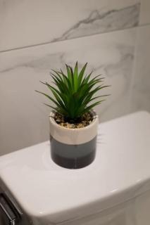 Palms Little Italy Studio with full bathroom by Denstays - Montreal - 5