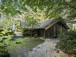 Holiday Home Iskra - 900m from the sea by Interhome - Løkken - 0