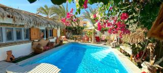 Surfers-Lounge-Dahab Lagoon with Swimming-Pool - Breakfast - Garden - Beduintent - BBQ - Jacuzzi - Dahab - 0