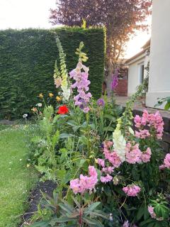 Eastfield - Edimburgo - 4