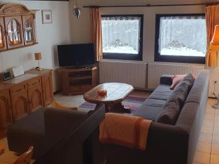 Ferienhaus mit Terrasse im Skigebiet - 1
