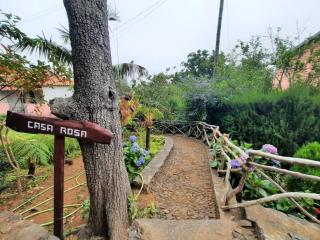 Casa Rosa - Camacha - 9
