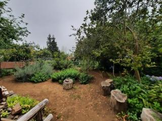 Casa Rosa - 1
