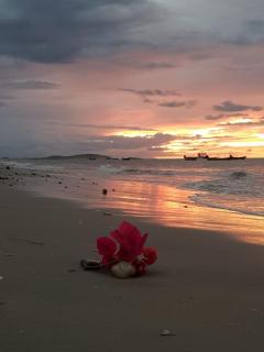 Vento do Mar - 1