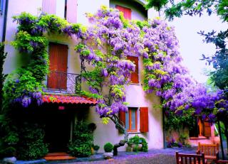 Le Querce Hotel - Salsomaggiore Terme - 6