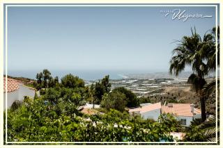 Villa La Higuera - Sayalonga - 2