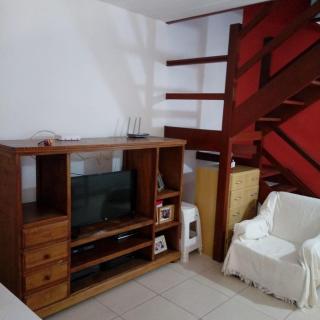 Palmeiras alta e baixa temporada - 2