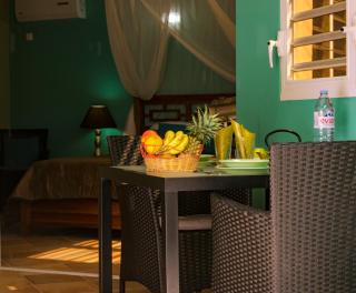 T1 D'ALICE SAINTE ANNE CENTRE - 4