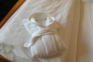 Alpen Adria Hotel & Spa - Presseggersee - 9