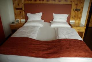 Alpen Adria Hotel & Spa - Presseggersee - 8