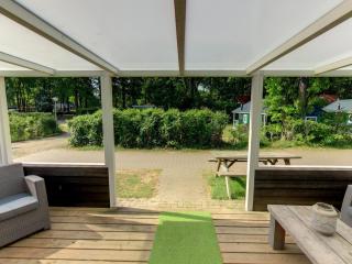 Holiday Park in Staphorst near Pool - IJhorst - 1
