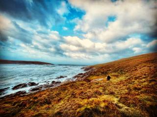 The Haven - Crantock - 3