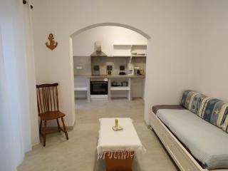 Petrina Volia - Residence Anemos - Andros - 9