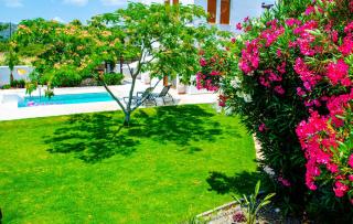 Evilion Villa - Gennadi - 7