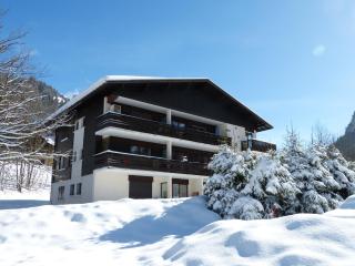 Chaleureux appart 2 pièces près des pistes 4 pers 3*** - FR-1-304-272 - 3