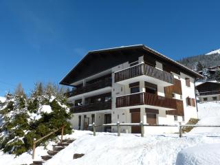 Chaleureux appart 2 pièces près des pistes 4 pers 3*** - FR-1-304-272 - 2