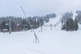 Карпатська Ружа - 6