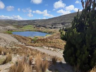 Hospedaje Chimborazo - Chimborazo - 5