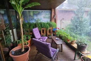 DNT HOUSE &spa - Cârcea - 8