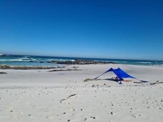 Sunbird House - Grotto Bay - 9