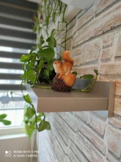 Baross apartman - Kaposvár - 3