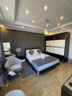 Ami Residence Bucharest Airport,Therme&FREE PARKING Otopeni - 1