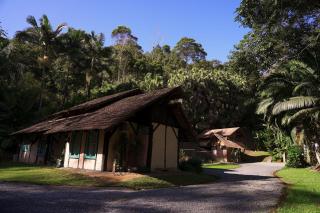 Sítio Urbano a apenas 1,5 km do centro - Blumenau - 9