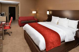 Comfort Suites Columbus - Columbus - 7