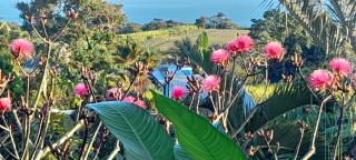 Gwadakaz - Sainte-Rose - 3