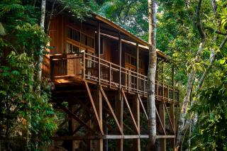 Pumarinri Amazon Lodge - Tarapoto - 5