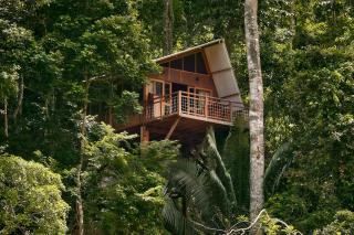 Pumarinri Amazon Lodge - Tarapoto - 3