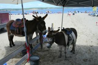 Philbeach Guest House - Weymouth - 3