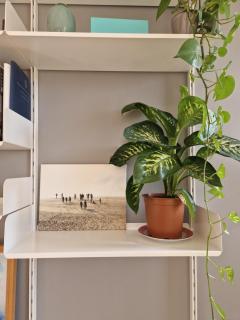 Modern Bright and Central Apartment - Milan - 9