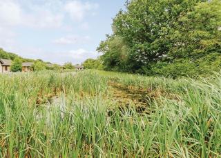 Oakwood Lodges - Skipwith - 4