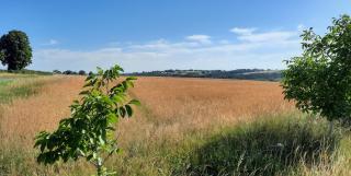 Chambres d’hôtes La Joyeuse - 5