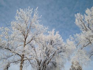 U of A Homestay, Trails & Whyte Ave - Edmonton - 1