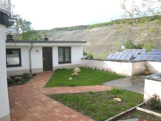 Holiday home in Wehlen with Moselle view - Wehlen - 0